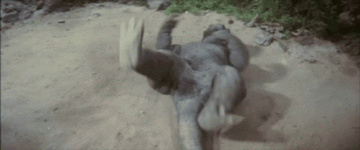 minilla-tantrum.gif