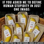 01JYJPAANDPZMG6CT2NY49TVVV.webp