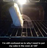 cake in the 120 degree oven.webp