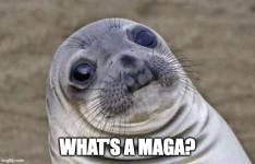 1752702382028.webp