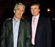 trump epstein.webp