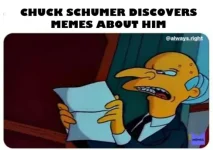 schumermemesuitfhtdf2.webp