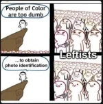 RacistDEMs.webp