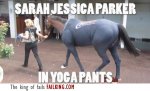 20344-sarah-jessica-parker-in-yoga-pants_w.jpg