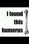 humerus.jpg