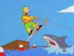 Homer Jump Shark.jpg