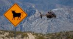 bundy-ranch-helicopter-400x218.jpg