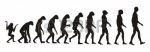 2109925-human-evolution.jpg