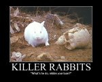 Killer Rabbit.jpg