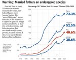 graph unwed births by race.jpg