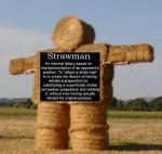 strawmanillustration.jpg