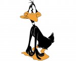 Daffy_Duck_baffled.jpg