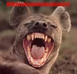 Laughing Hyena.webp