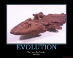 evolution-fossils-win.jpg