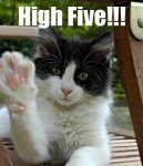 highfive.jpg