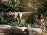 creation-museum1.jpg