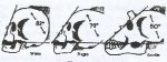 skuls 2.jpg skuls 2.jpg
