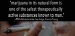 marijuana-safest-therapeutic-substances-known-to-man-dea.jpg