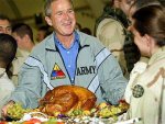 bush_turkey1.jpg