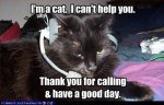 I--m-A-Cat-I-Can--t-Help-You--Thank-You-For-Calling-Ad-Have-A-Nice-Day.jpg