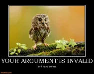 Your arg is invalid Owl.webp