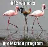 KFC Witness protection program.webp