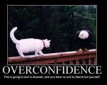 Overconfidence - This is going to end in disaster,and you have no one to blame but yourself.jpg