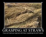 Grasping at Straws.jpg