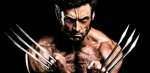 wolverine-126214.jpg