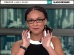 Melissa Harris Perry Tampon Earrings_0.jpg