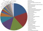 US Budget Pie Chart.jpg