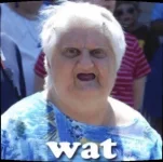 WAT.webp