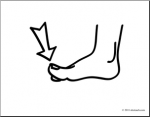 toe-clipart-toebwunlabeled_p.png