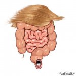 trump colon.jpg