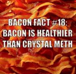 bacon-fact-bacon-is-healthier-than-crystal-meth.jpg