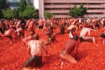 webAE_tomatina4_08-29-10.jpg