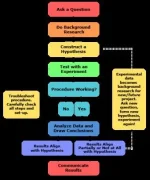 2013-updated_scientific-method-steps_v6_noheader.webp