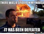 There-was-a-spider-in-my-house---meme.jpg