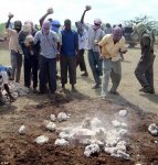 Somali-stoned-to-death.jpg