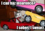 i-can-haz-insurence-i-soberz-i-swearz.jpg