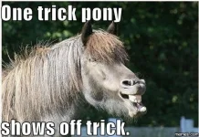 pony.webp