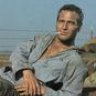 Cool Hand Luke