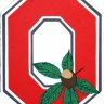 Buckeyes85