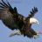 EagleAye