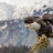 Eagle_Eye