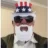 Bush Lawyer