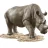 Rino