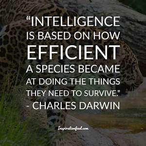 Darwin.jpg