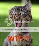 thcat.jpg
