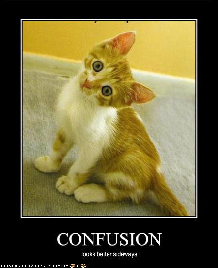 confused+kitty.jpg
